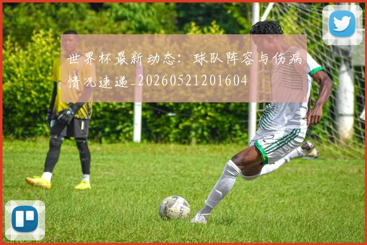 世界杯最新动态:球队阵容与伤病情况速递_20260521201604